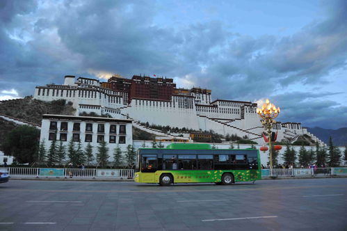 廣西科技獎勵產業化項目含金量持續攀升，三年吸金超5000億元凸顯技術服務體系價值